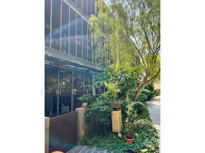 For Sale - The Woods