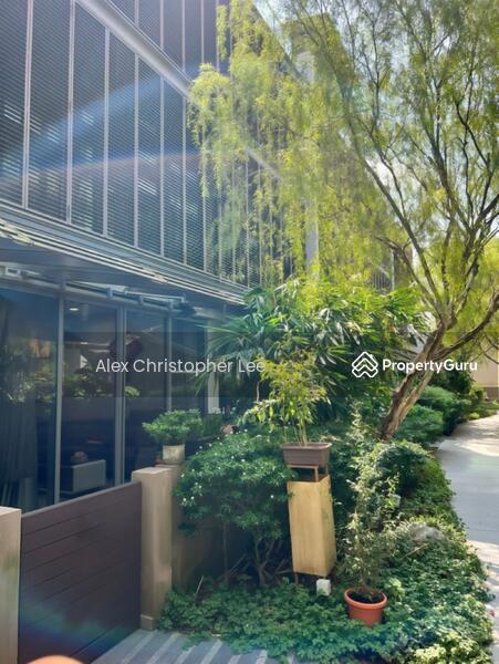 For Sale - The Woods