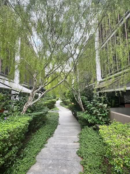 For Sale - The Woods