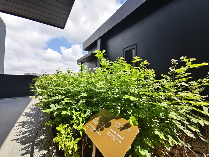 Claydence Apartment For Sale at S$ 2,690,000 | PropertyGuru Singapore - Roof Garden