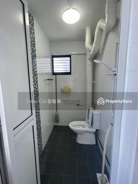 common toilet