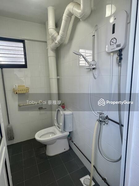 common toilet