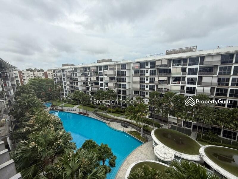 View from Balcony