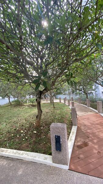 Carpark rooftop garden 