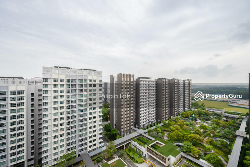 View from the unit