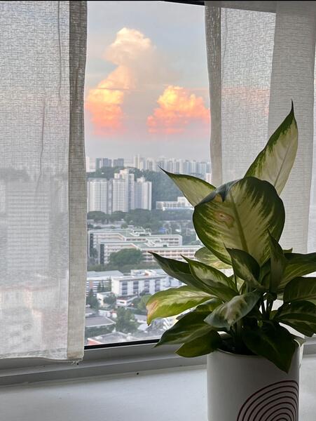 Admire stunning sunrise from living hall