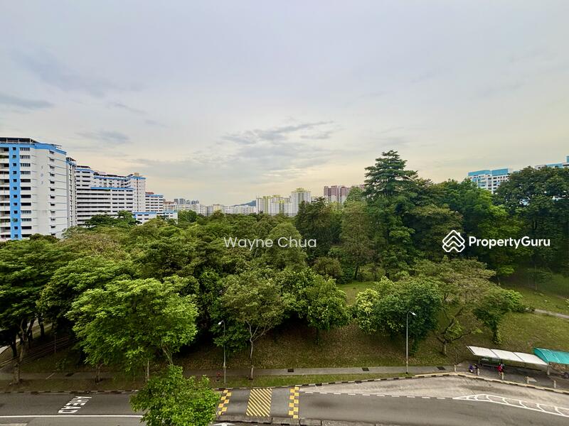 Park views