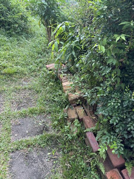 For Sale - 🏆JIA LANDED🏆 Gorgeous Huge Plot! Wide Frontage. Regular Land. Rare Find!