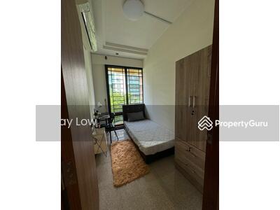 For Rent - Tropical Spring