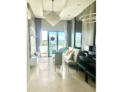 For Sale - Skies Miltonia