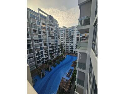 For Sale - The Canopy