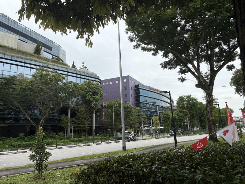 For Rent - 363 Woodlands Avenue 5