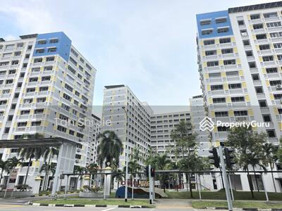 For Rent - 567 Pasir Ris Street 51