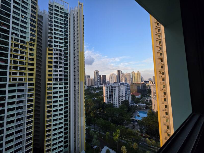 View