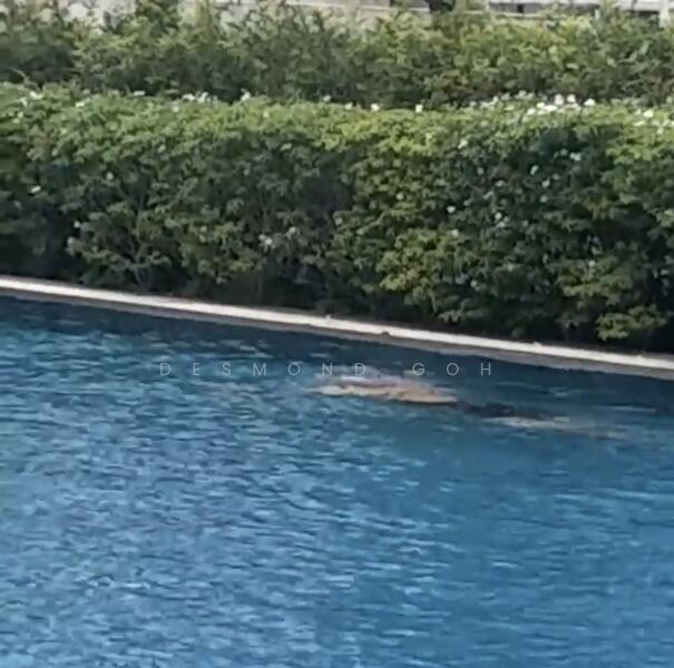 For Sale - Launching New Low Rise Condo @ Faber Walk