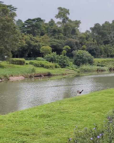 For Sale - Launching New Low Rise Condo @ Faber Walk