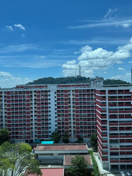 Bukit Timah View