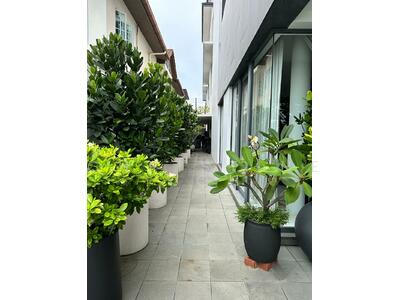 For Sale - Dunbar Walk