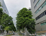 D13 B1 Industrial unit at Macpherson