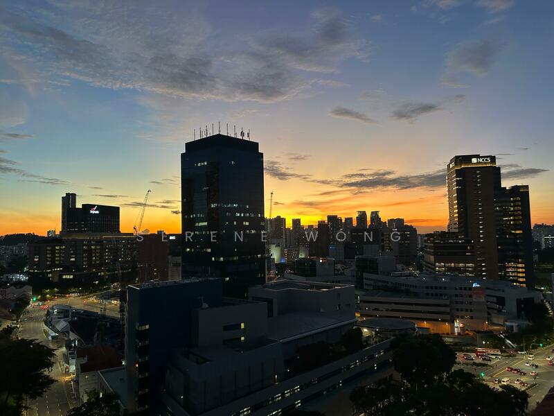View