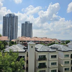 For Sale - Pollen & Bleu