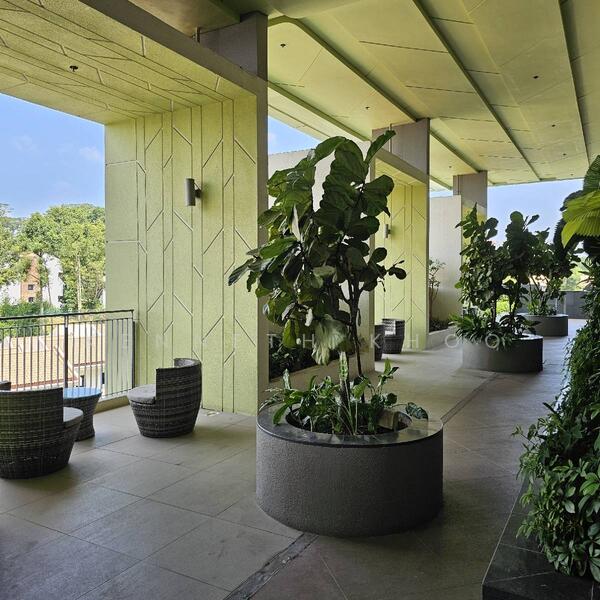 For Sale - Pollen & Bleu