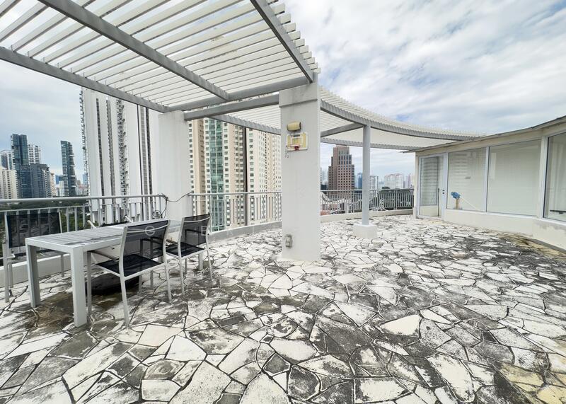 Roof Terrace - Back View (Current)