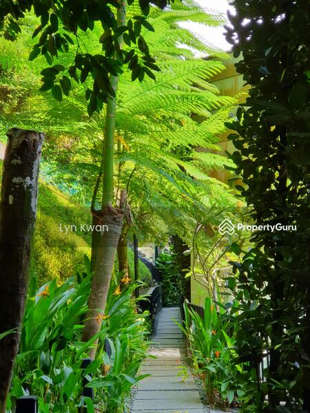 Lush Greenery