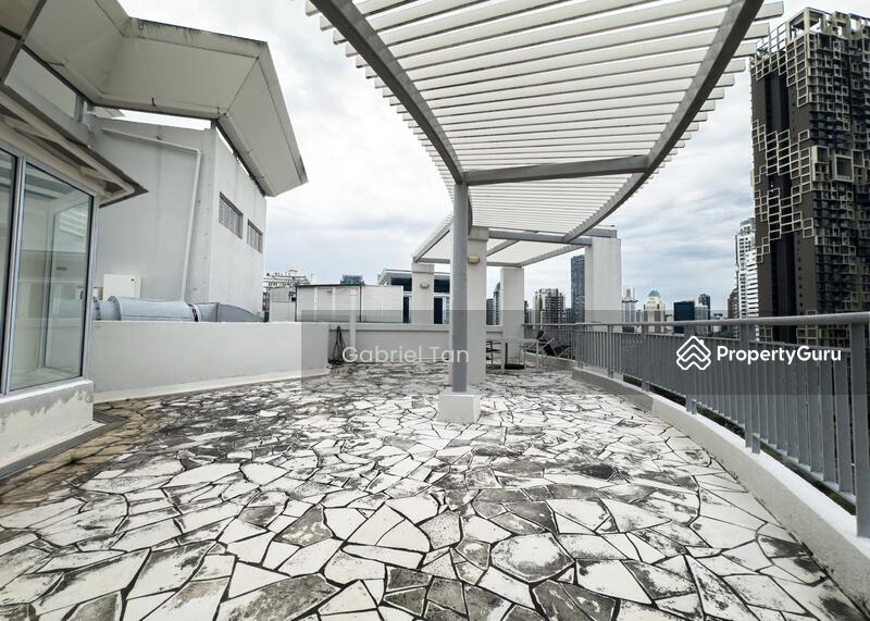 Roof Terrace (Entry view)