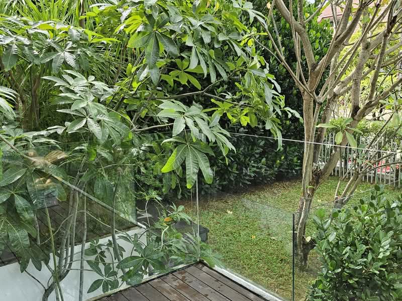 ⭐RARE Branksome/Wilkinson Bungalow✅South Facing✅Modern, 12years Old Bungalow House For Sale at S$ 19,688,000 | PropertyGuru Singapore - Garden