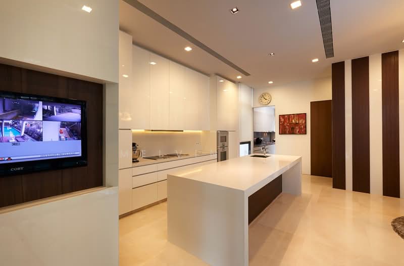 ⭐RARE Branksome/Wilkinson Bungalow✅South Facing✅Modern, 12years Old, ❤️South⚡Garage⚡6 Beds ensuite⚡Pool⚡Lift❤️, 7 Bedrooms, 9,930 sqft, Bungalow House For Sale, by Melvin Ng, 60104242 - Kitchen - PropertyGuru.com.sg
