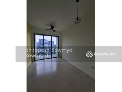 For Rent - Skies Miltonia