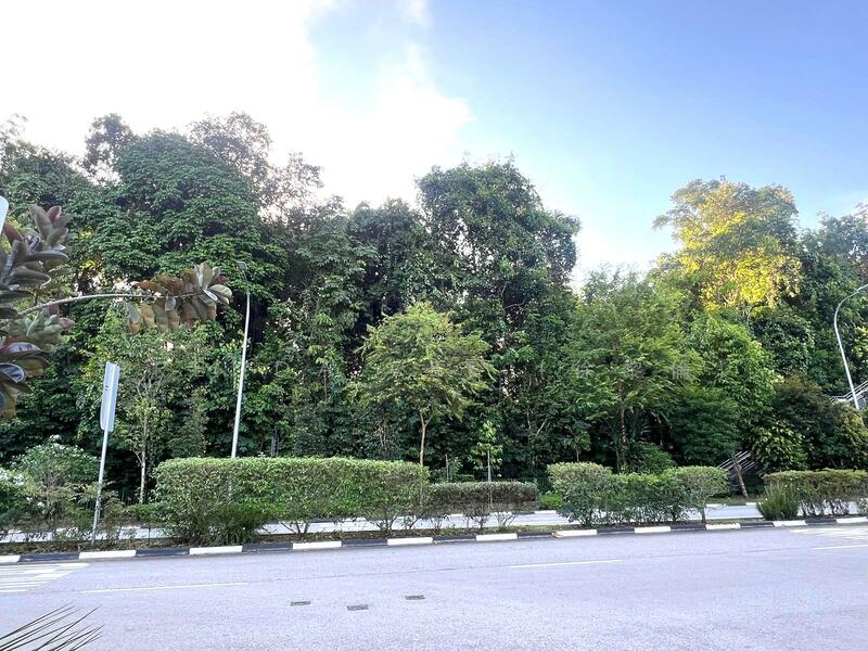 BRENDA ZEE 9450*9938 ✧ Pre-War Freehold Bungalow ✧ Redevelopment Potential, Lornie Road, call Brenda Zee 9450-9938 to view, 7 Bedrooms, 7,000 sqft, Good Class Bungalow For Sale, by Brenda Zee (徐黎倫), 60104317 - Pre-War Freehold Bungalow for sale - PropertyGuru.com.sg