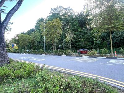 For Sale - BRENDA ZEE ✧ 945O9938 ✧ Pre-War Freehold Bungalow ✧ Redevelopment Potential