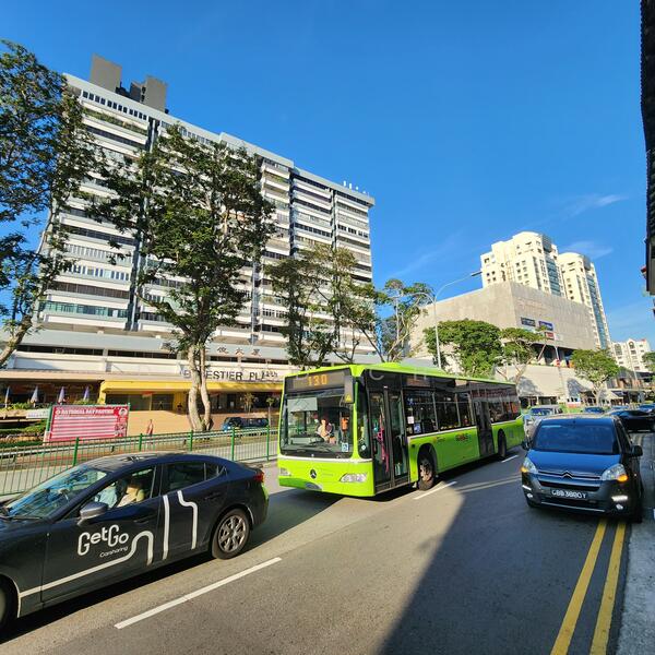 Balestier Road, Balestier Road, 5 Bedrooms, 1,300 sqft, Apartment For Rent, by David Chia, 60105207 - Exterior - PropertyGuru.com.sg