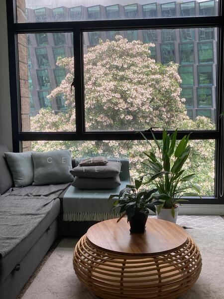 River Place, 60 Havelock Road, 1 Bedroom, 829 sqft, Condominium For Rent, by EDMUND TEO, 60106277 - PropertyGuru.com.sg