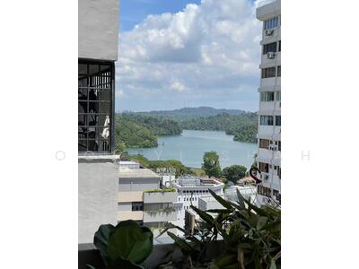 For Sale - Braddell View