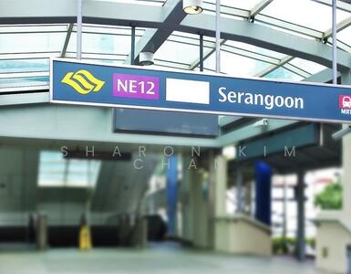 For Sale - ⭐️⭐️LANDED7772 @ 1 pair of brand new semi-d @ Serangoon Nex Mall Vicinity