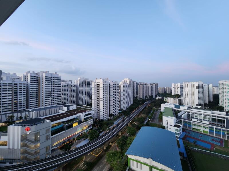 View