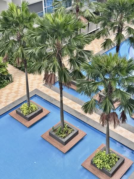 A Treasure Trove, 68 Punggol Walk, 3 Bedrooms, 1,044 sqft, Condominium For Rent, by Johnson Ng, 60109423 - Pool - PropertyGuru.com.sg