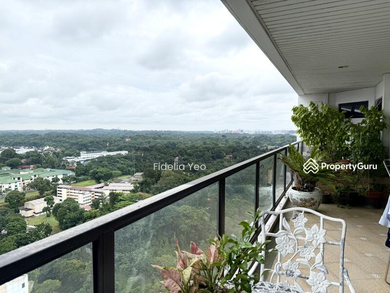 The view