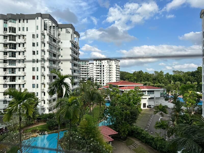View