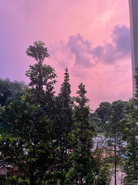 509A Yishun Avenue 4 HDB Flat For Sale at S$ 685,000 | PropertyGuru Singapore - View