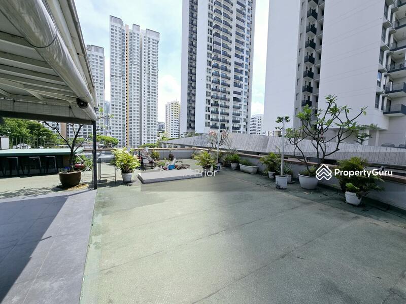 For Rent - Tiong Bahru 5 Mins to MRT RARE PENTHOUSE