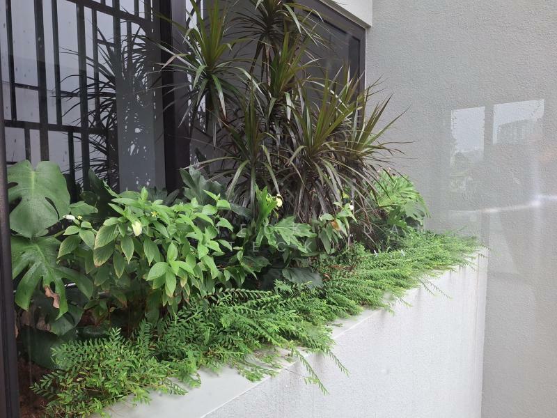 ✨️Heyyyy! Last 2 Units Left!✨️, ✨️1km Henry Park✨️Holland Rd ✨️, 5 Bedrooms, 4,574 sqft, Terraced House For Sale, by Ang Teck Kuan (Teck), 60112189 - Garden - PropertyGuru.com.sg