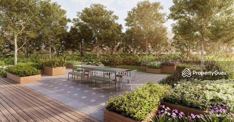Herb Garden