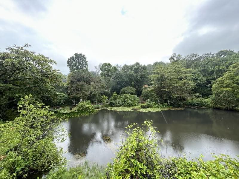 Normanton Park, 53 Normanton Park, Buona Vista / West Coast / Clementi New Town, 1 Bedroom, 581 sqft, Condominium For Rent, by Anthony Lee, 60113072 - PropertyGuru.com.sg