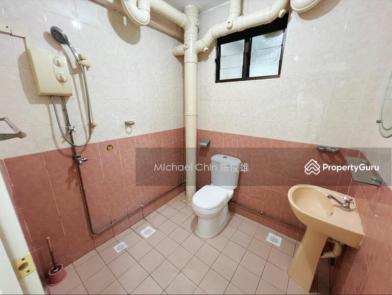 Actual Toilet