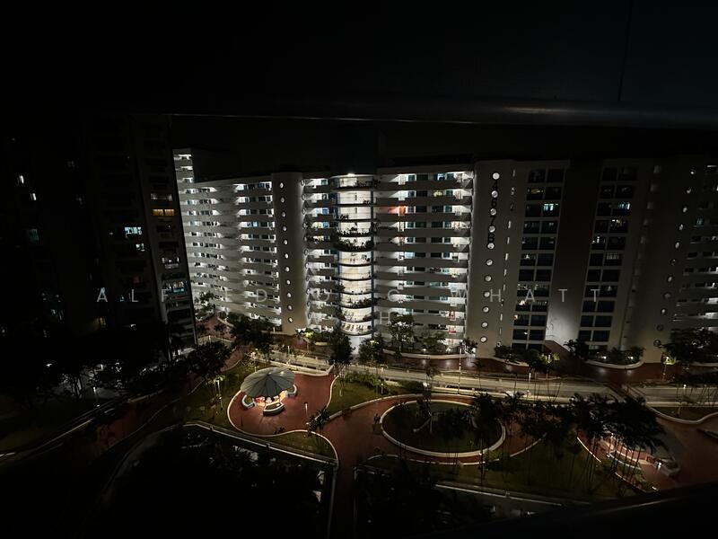 Beautiful Night Scene