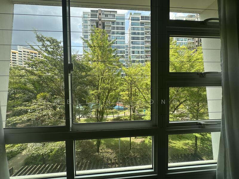 View from the window 